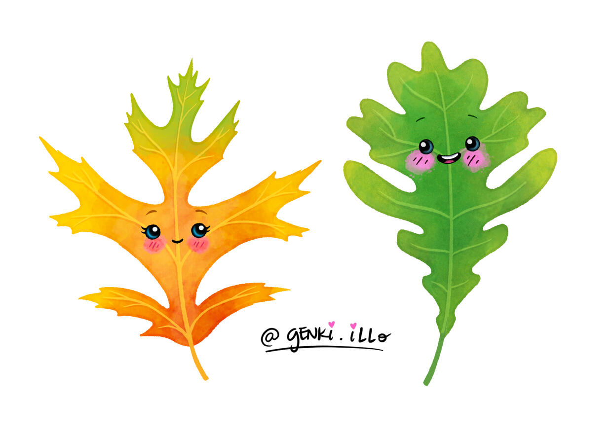 Lover Leaves Lover Leaves